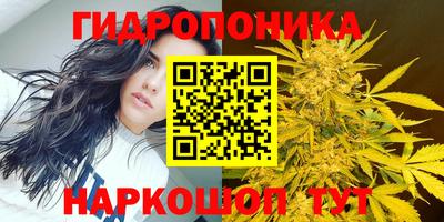 spice Нягань