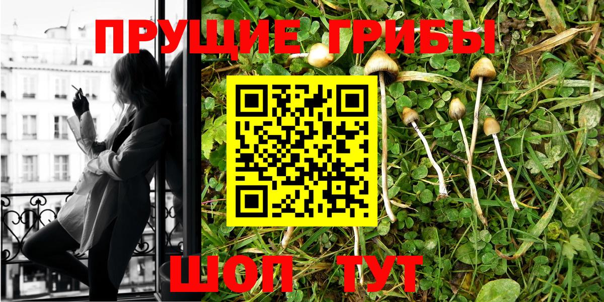 Алексин  Псилоцибиновые грибы Psilocybine cubensis  Вход с VPN 
